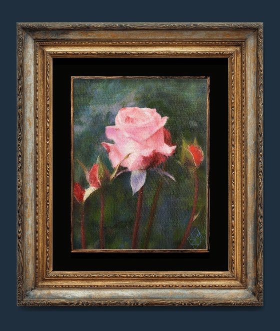 Rose and the Stream of Time