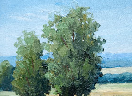 Country landscape