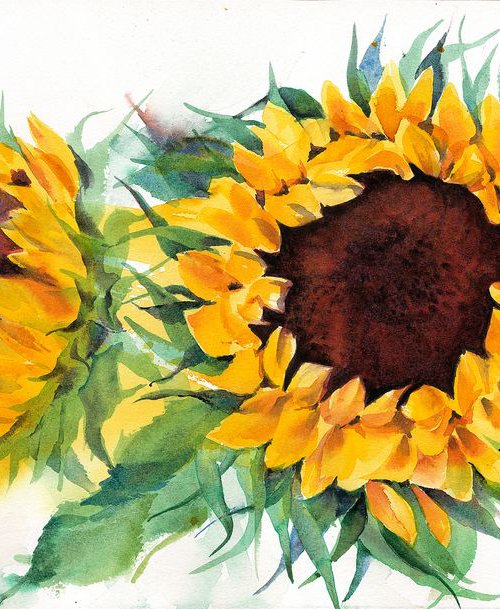 Sunflowers by Anjana Cawdell