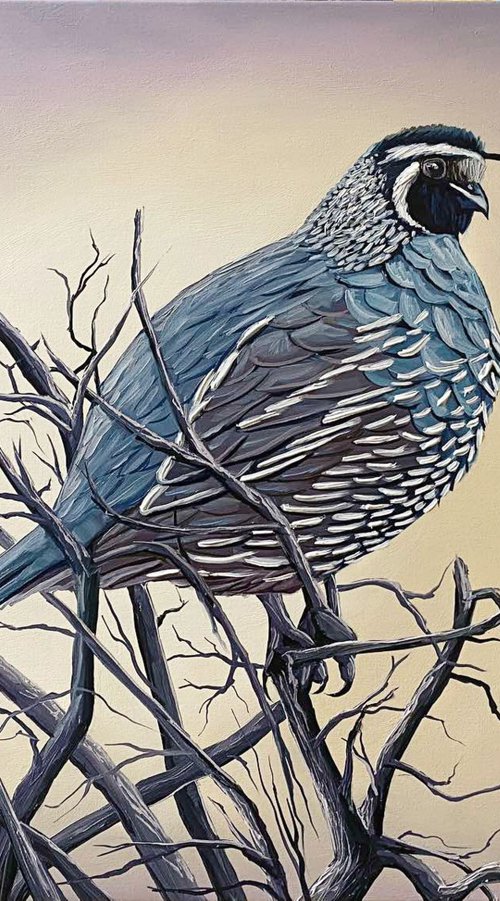 Quail by Elena Adele Dmitrenko