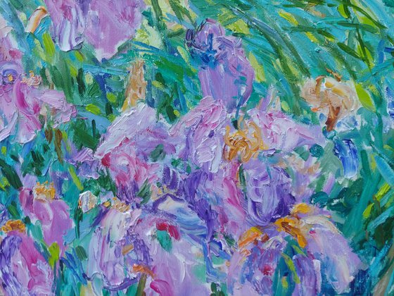 Irises in the light of the wind.