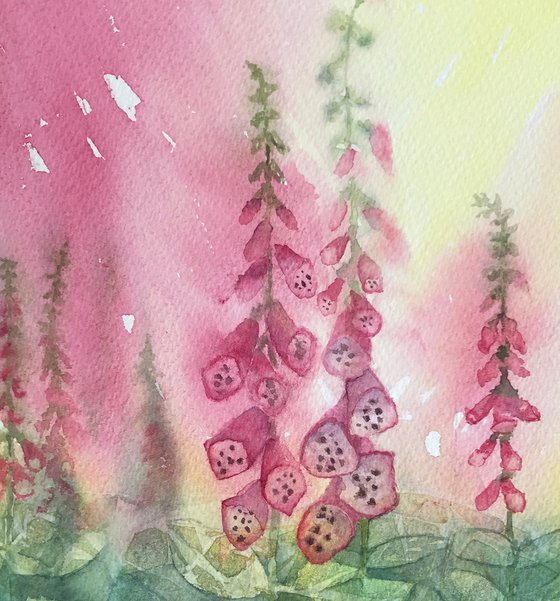 Pink Foxgloves