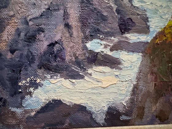 Late Morning At Point Lobos