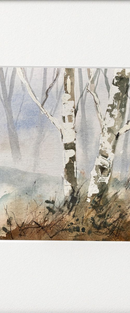 Winter Silver Birches by Teresa Tanner