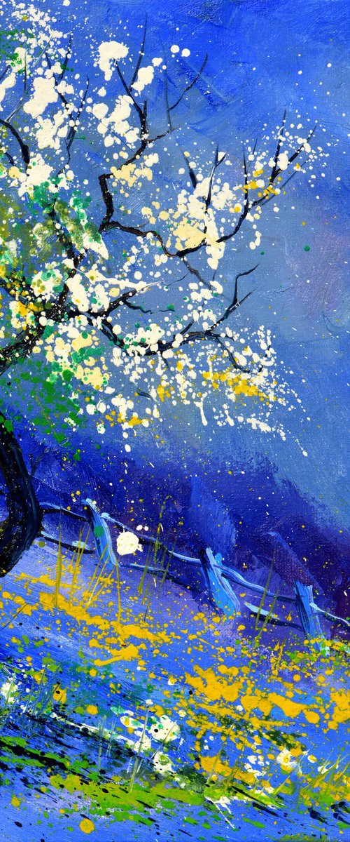 Blue spring by Pol Henry Ledent
