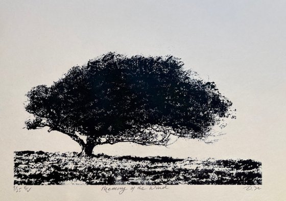 Memory of the Wind