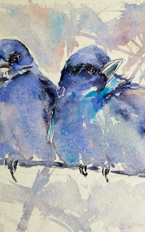 Mountain bluebirds by Kovács Anna Brigitta