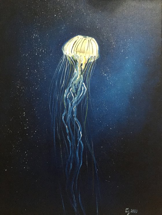 Jellyfish