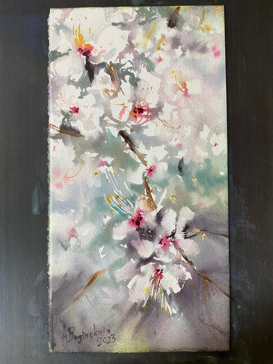 Blooming plum tree - watercolor sketch