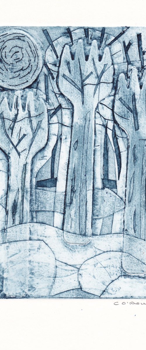 Winter Trees by Catherine O’Neill