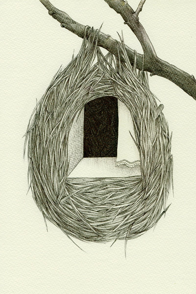 Botanical Ink Drawing By Andromachi Giannopoulou, 16 X 19, A Simple Nest, Original Artwork