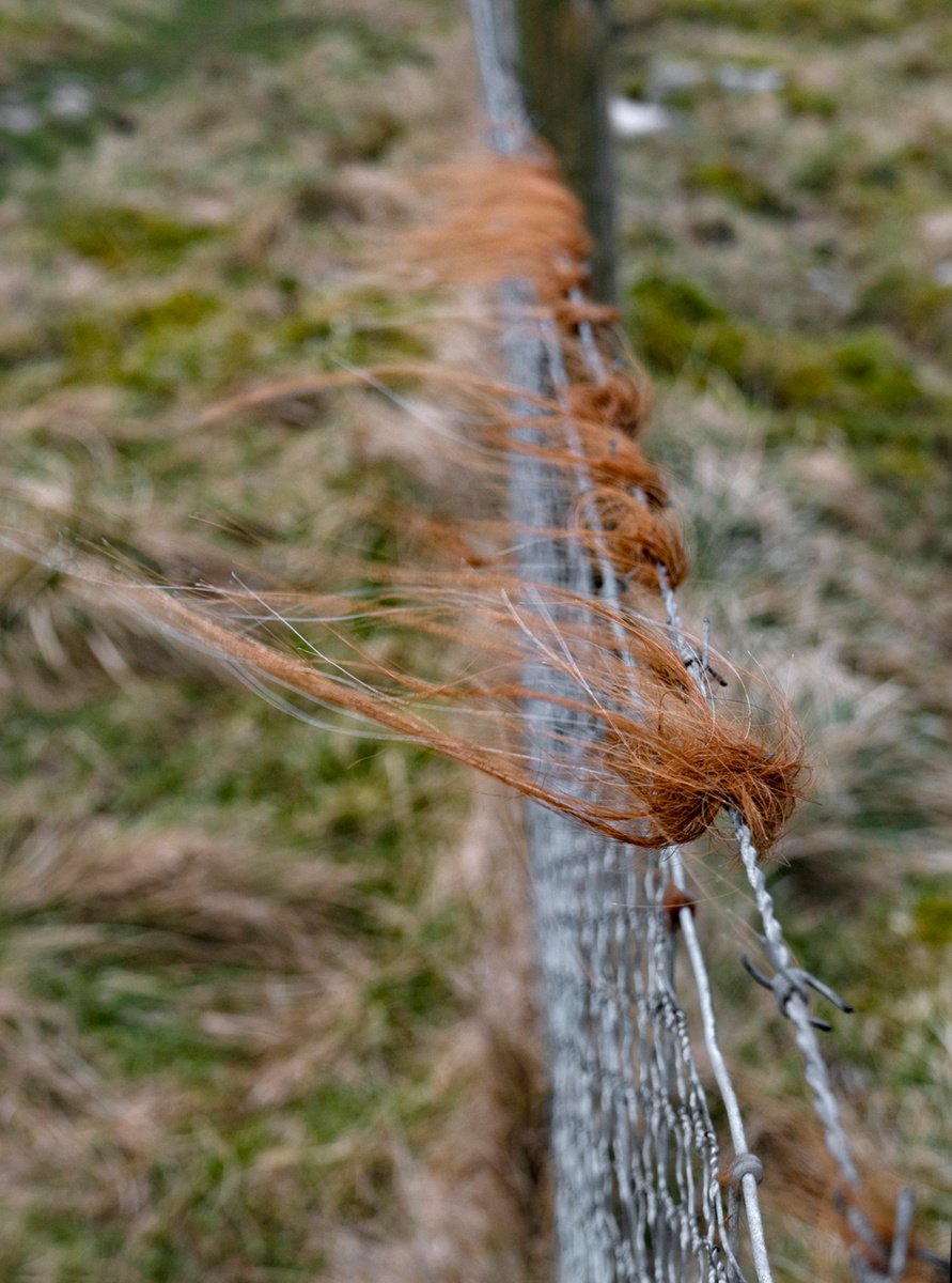 Fly-Away Hair by Vincent Abbey