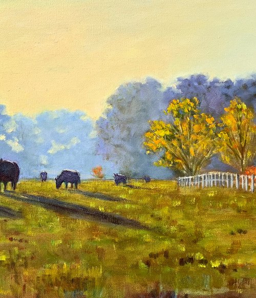 Morning graze by Shelly Du