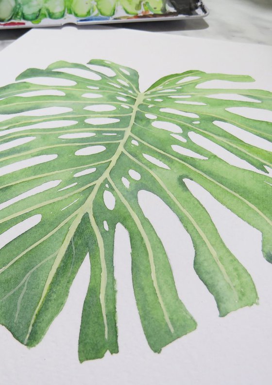 Monstera Leaf 3