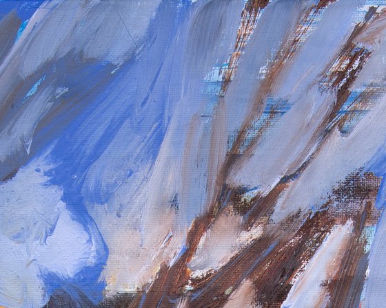 Hot Rocks and Pines
