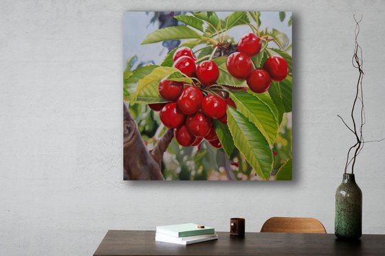 Cherries II