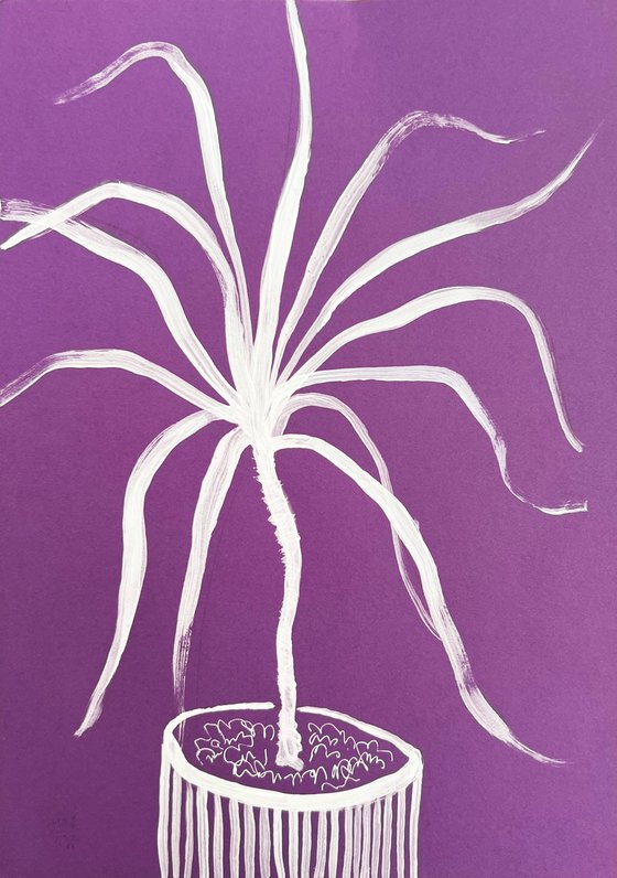 Spider Plant White Ink Drawing