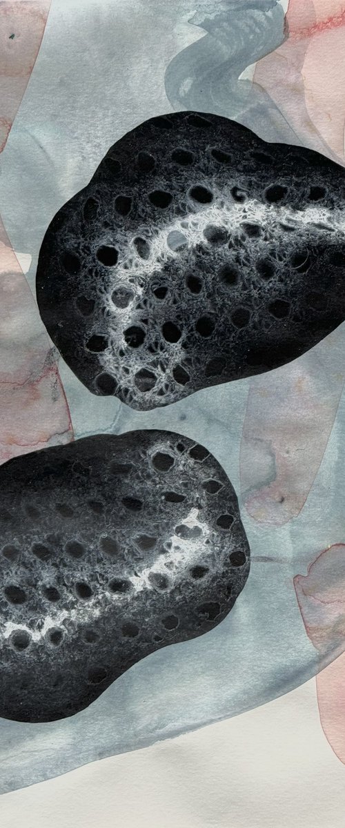 Two drops by LUCIA FABOVÁ