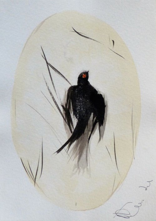 Birds of Carros #11, 15x21 cm by Frederic Belaubre