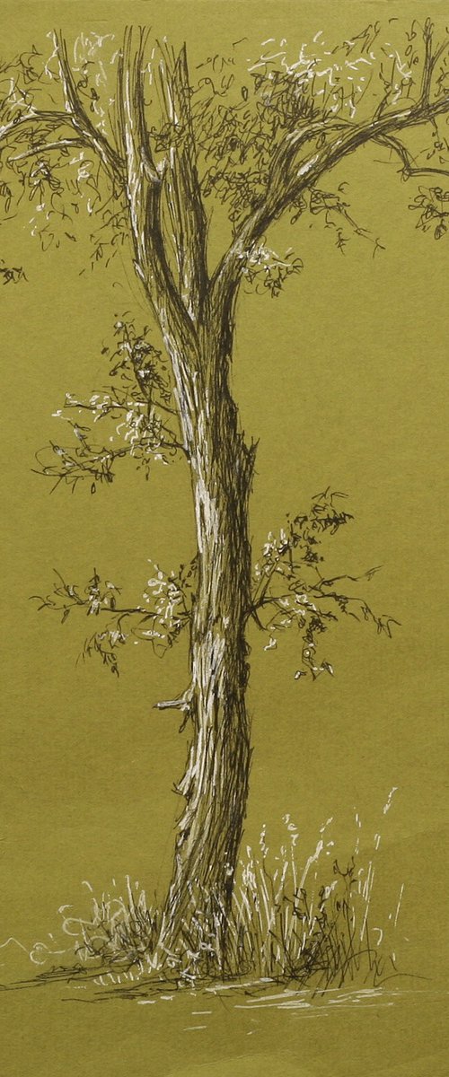 Tree on Green Paper by John Fleck