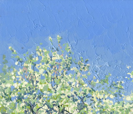 Apple tree in bloom. Kolomenskoye