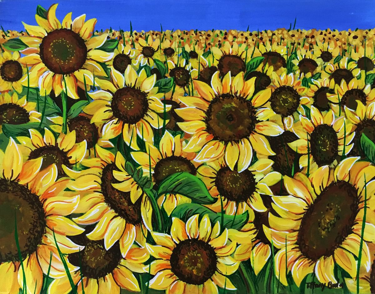 The Field of Sunflowers by Tiffany Budd