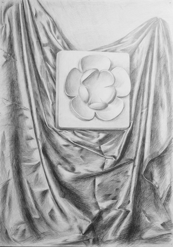 Still Life Decoration. Original pencil drawing.