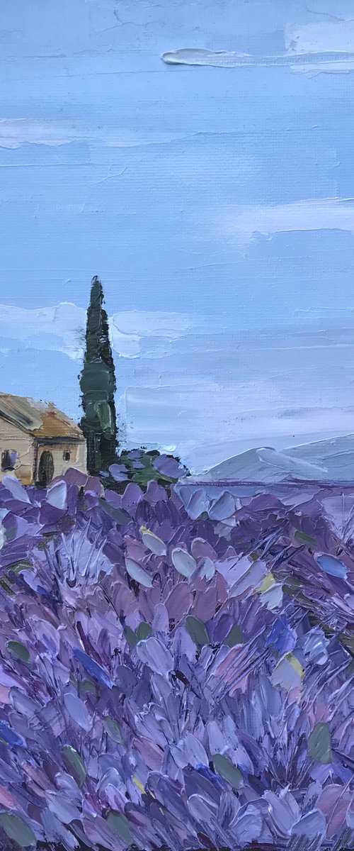 Provence lavender field Oil Painting French Landscape impasto by Leysan Khasanova
