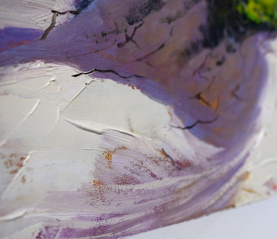Light across the dunes