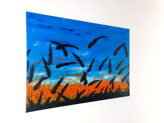 Sunset in the grass