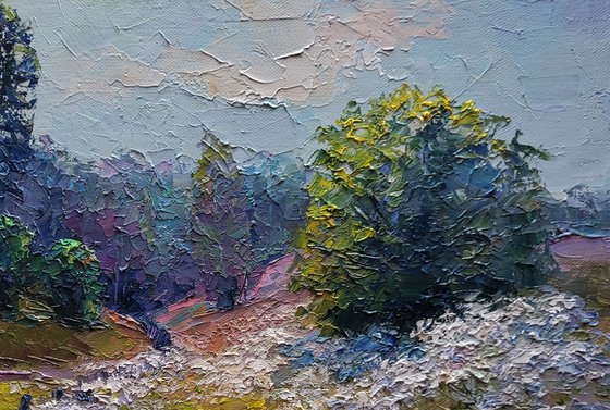 Wildflowers are growing