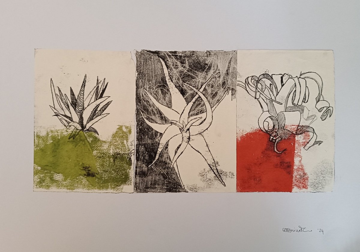 Organic Botanical Limited Edition Print By Isabellangela Germinario, 18 X 8, Plants, Original Artwork