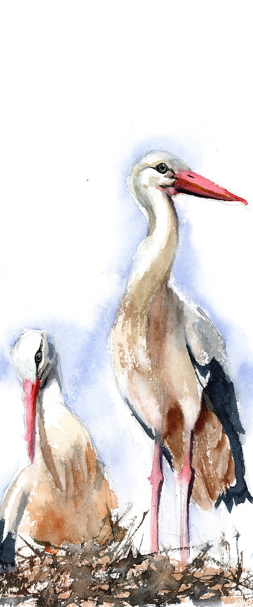 White Stork Nest - watercolor painting by Olga Tchefranov (Shefranov)