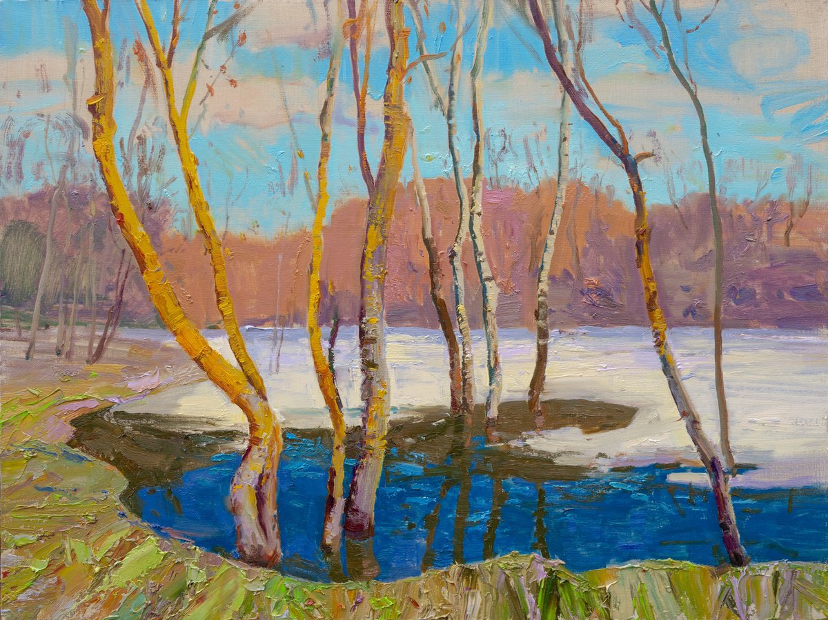 Impressionistic Landscape Oil Painting By Victor Onyshchenko, 31 X 24", River Flood. Sunny Day, Original Artwork