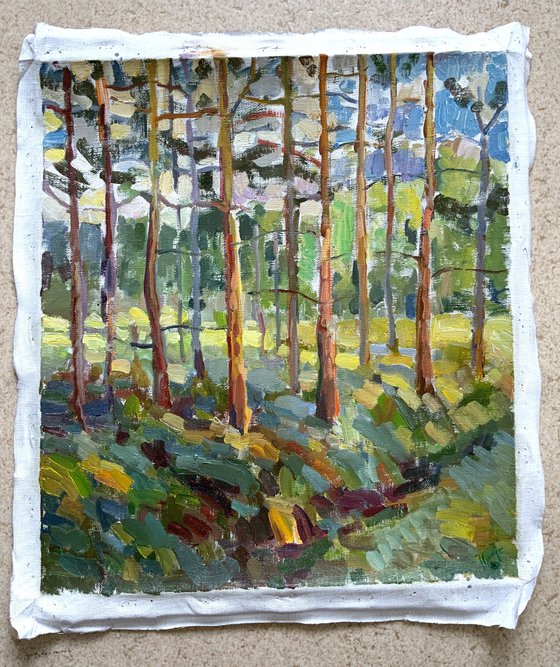 Pines in Imatra