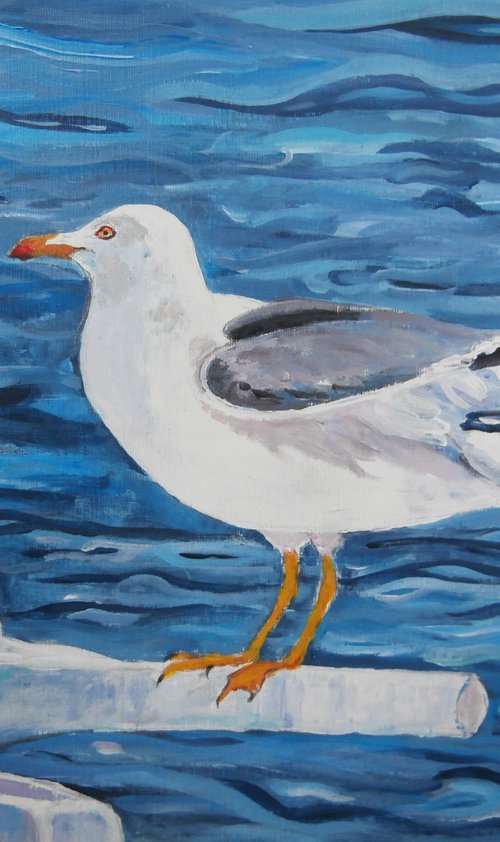 CAPTAIN SEAGULL by Zoran Mihajlović Muza