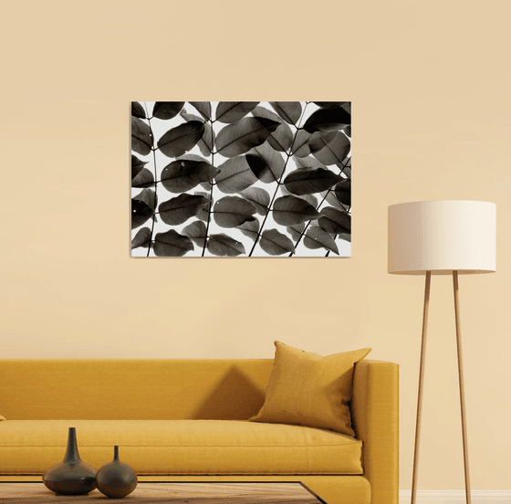 Branches and Leaves I | Limited Edition Fine Art Print 1 of 10 | 75 x 50 cm