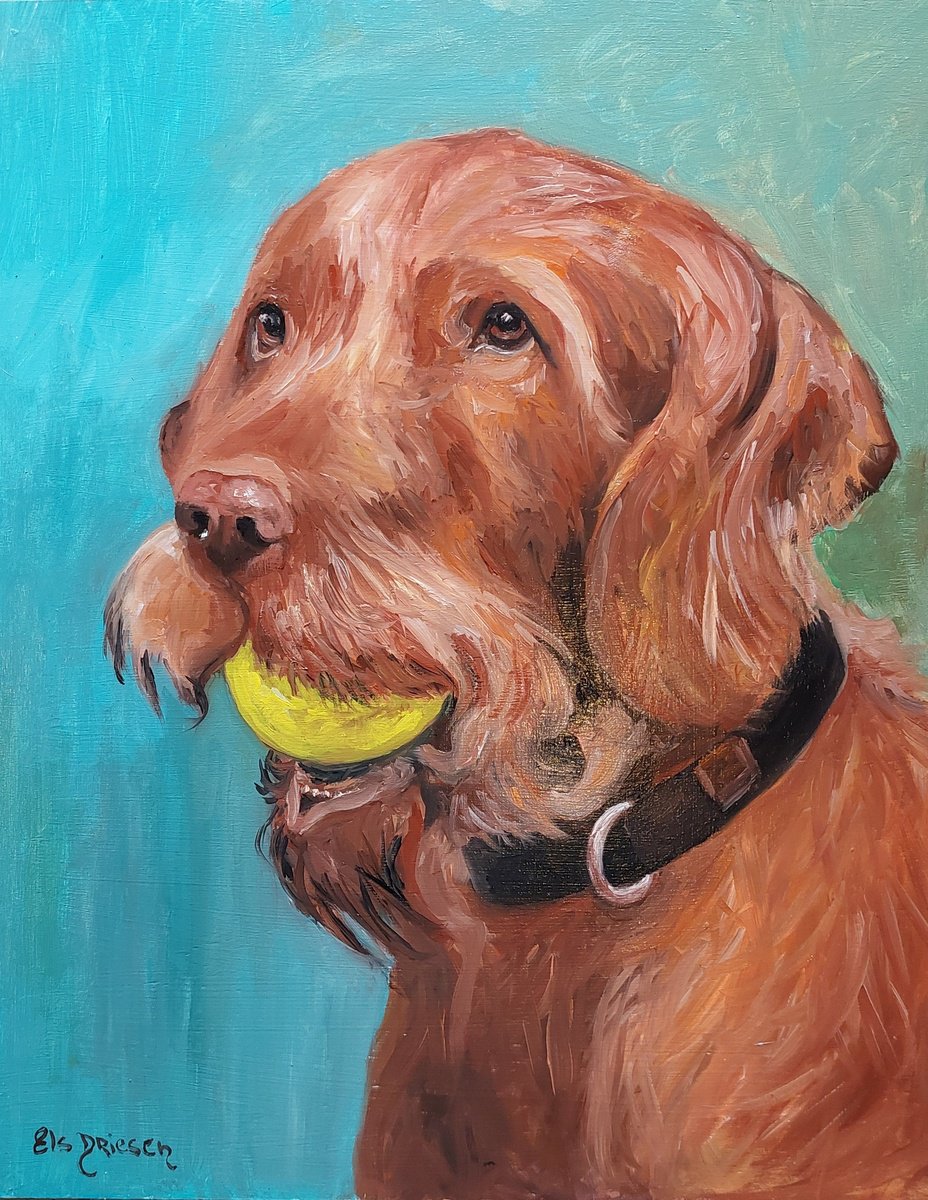 Impressionistic Animal Oil Painting By Els Driesen, 17 X 20, Toby, Original Artwork