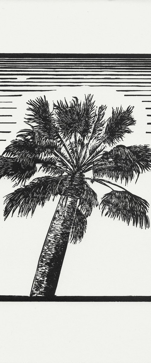 Palm Tree by The Inkery