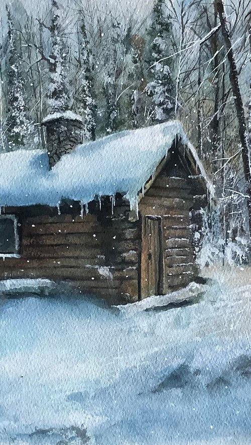 Canadian winter by Darren Carey