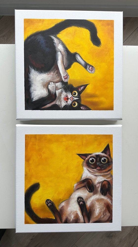 Same Energy
