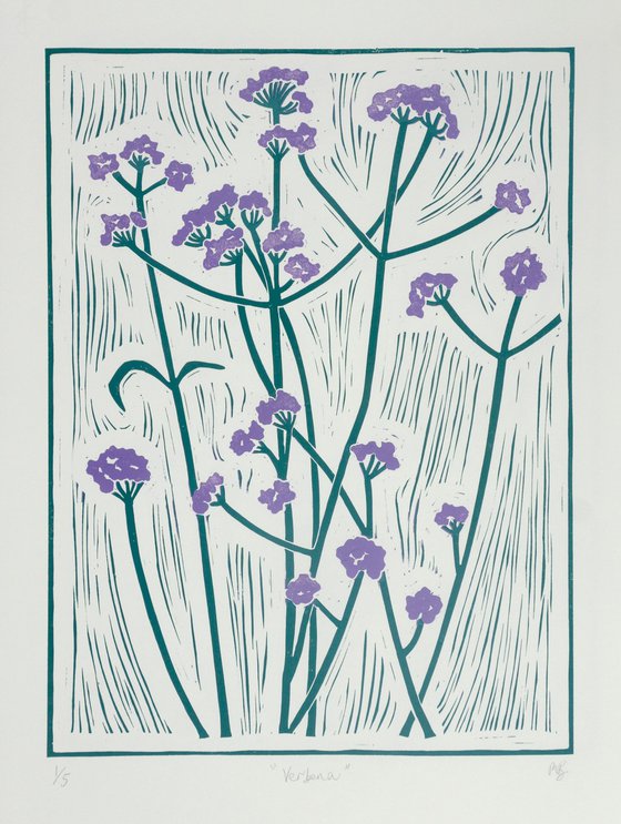 Verbena