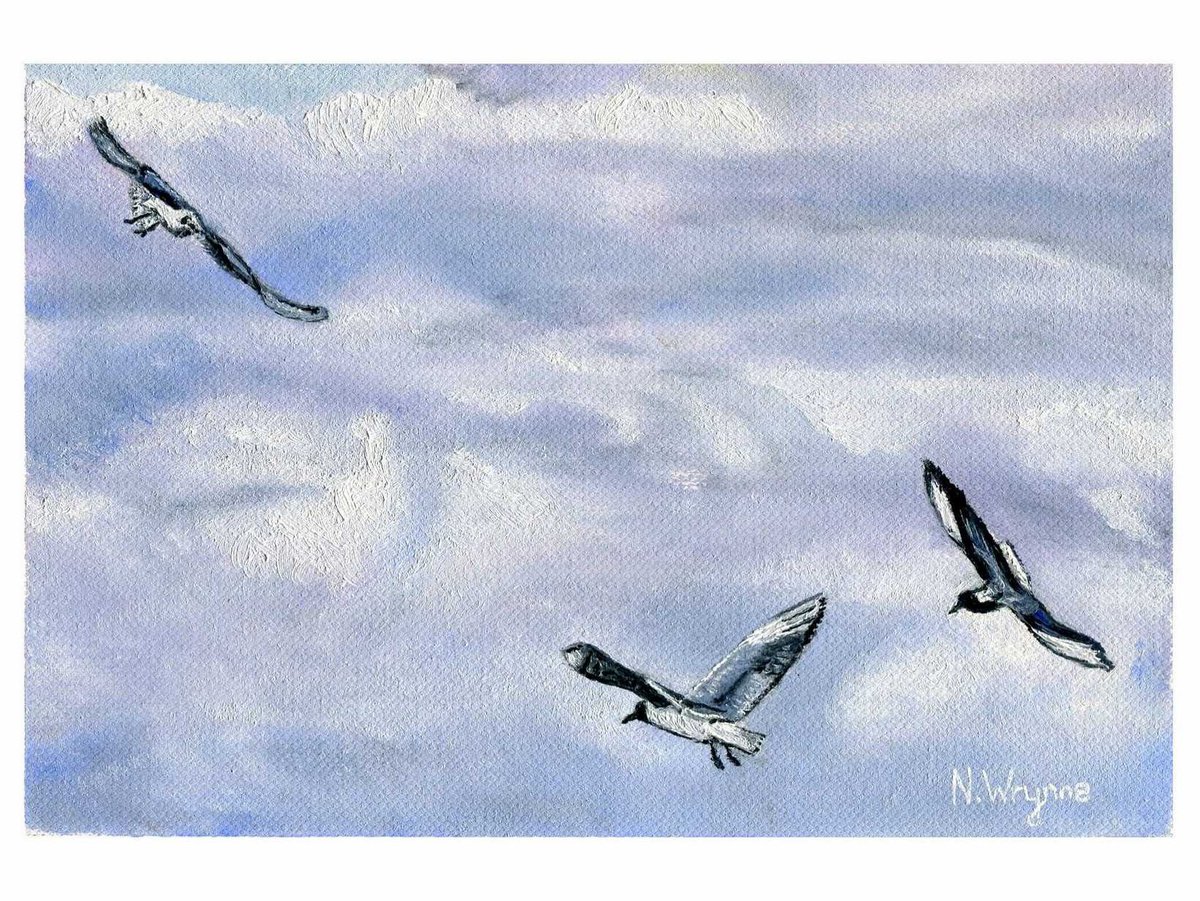 Flying Seagulls - Birds Blue Sky Oil Painting Artwork by Neil Wrynne