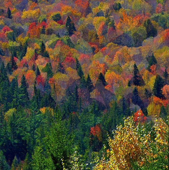 Kancamagus Highway One