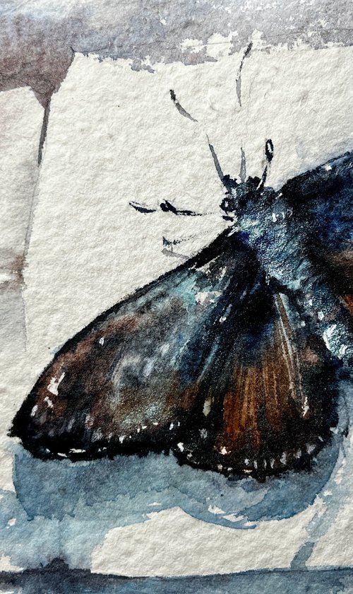 Insecttopia#8 by Larissa Rogacheva