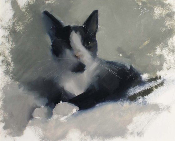 Watchful Whiskers - Uno
