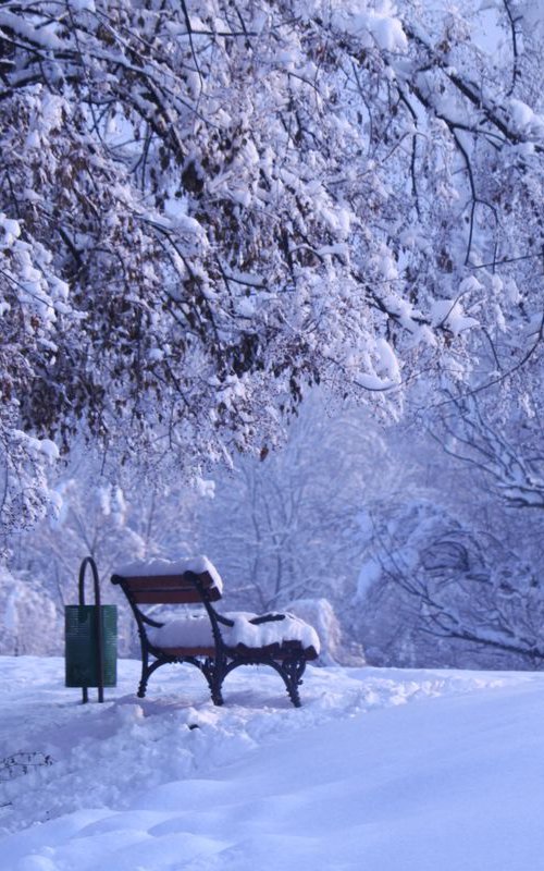 Bench in the snow by Sonja  Čvorović