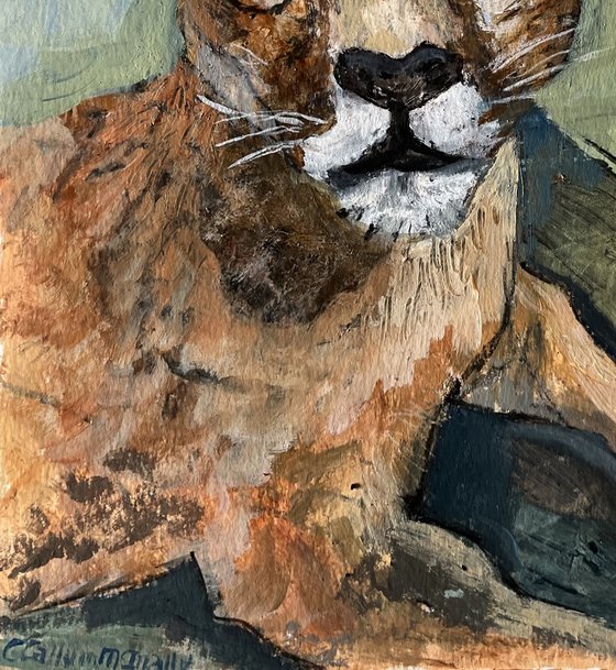 Puma