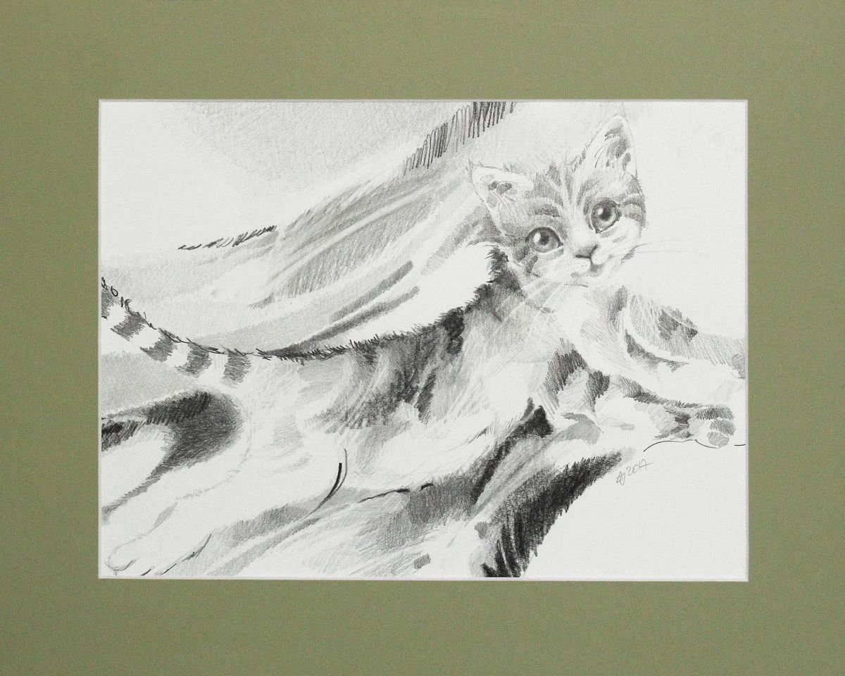 Flying Kitty 1 by Jolanta Czarnecka