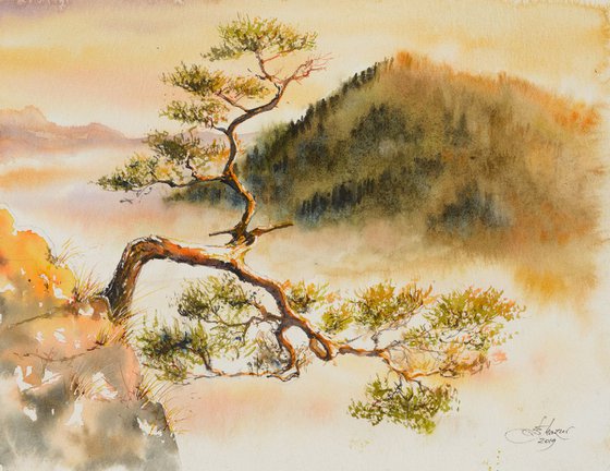 Sokolica Pine tree II